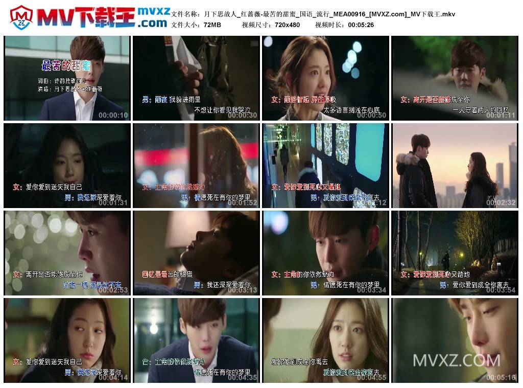 月下思故人_红蔷薇-最苦的甜蜜_国语_流行_MEA00916